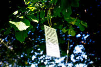 2011-06-29 - Områdesbilder från Peace & Love, Borlänge