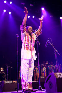 2011-07-01 - Seun & Femi Kuti från Roskildefestivalen, Roskilde