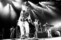 2011-07-01 - Seun & Femi Kuti från Roskildefestivalen, Roskilde