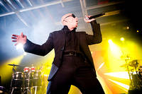 2012-06-03 - Pitbull från Arenan, Stockholm