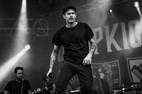 2012-06-27 - Dropkick Murphys från Peace & Love, Borlänge
