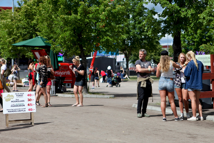 2012-06-28 - Områdesbilder från Peace & Love, Borlänge