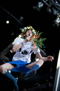 2012-06-28 - Den Svenska Björnstammen från Peace & Love, Borlänge