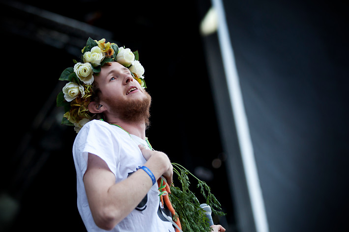 2012-06-28 - Den Svenska Björnstammen från Peace & Love, Borlänge