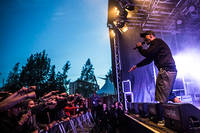 2012-06-30 - Evidence från Peace & Love, Borlänge