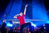 2012-07-26 - Street Dogs från West Coast Riot, Göteborg