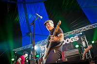2012-07-26 - Street Dogs från West Coast Riot, Göteborg