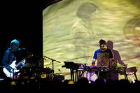 2012-11-14 - Animal Collective från Debaser Medis, Stockholm