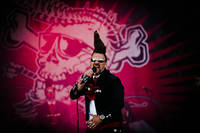 2013-06-07 - Leningrad Cowboys från Sweden Rock Festival, Sölvesborg