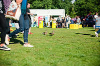2013-08-09 - Områdesbilder från Way Out West, Göteborg