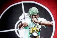 2013-08-10 - Public Enemy från Way Out West, Göteborg