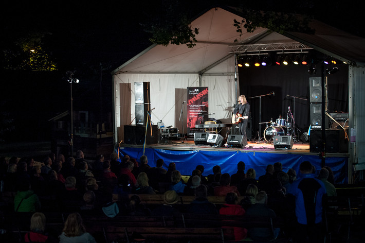 2013-08-31 - Staffan Hellstrand från Växjö Visfestival, Växjö