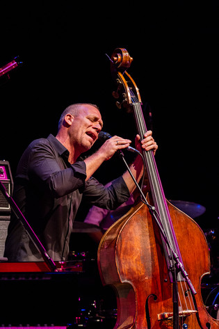 2013-10-18 - Avishai Cohen från Konserthuset, Stockholm