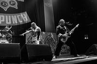 2013-11-08 - Five Finger Death Punch från Hovet, Stockholm