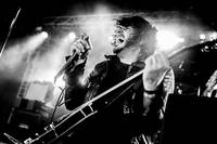 2014-06-26 - Reignwolf från Bråvalla, Norrköping