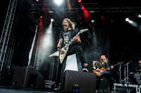 2014-06-27 - Bombus från Bråvalla, Norrköping