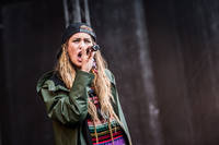 2014-06-28 - Elliphant från Bråvalla, Norrköping