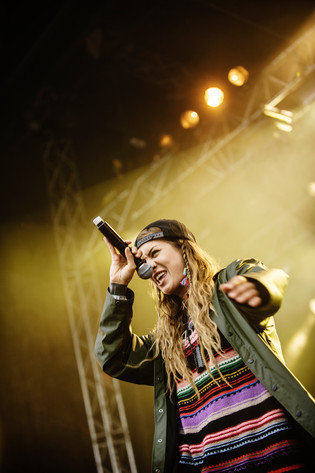 2014-06-28 - Elliphant från Bråvalla, Norrköping