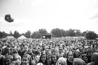 2014-07-24 - Den Svenska Björnstammen från Emmabodafestivalen, Emmaboda