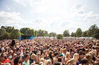 2014-07-24 - Den Svenska Björnstammen från Emmabodafestivalen, Emmaboda