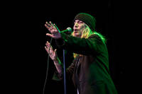 2014-07-30 - Patti Smith från Liseberg, Göteborg