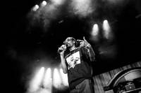 2014-08-02 - Snoop Dogg från Liseberg, Göteborg