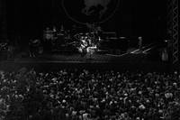 2014-08-03 - Neil Young & Crazy Horse från Stockholm Music & Arts, Stockholm