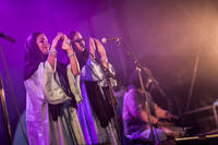 2014-07-09 - Tamikrest från Trænafestivalen, Træna
