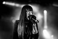 2014-07-11 - Linkoban från Trænafestivalen, Træna
