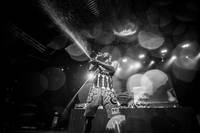 2014-08-07 - Zebra Katz från Way Out West, Göteborg