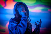 2014-08-22 - Gazelle Twin från Kalabalik på Tyrolen, Alvesta