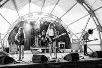 2014-08-30 - Tiger Bell från PFF FFS 2014, Orpund