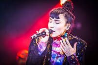 2014-08-30 - Laleh från Uddevalla Solid Sound, Uddevalla