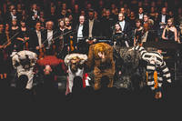 2014-09-04 - Bob Hund från Malmö Opera, Malmö