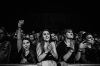 2014-11-09 - Hozier från Harpa Norðurljós, Reykjavik