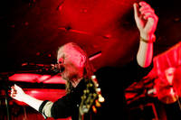 2014-11-25 - Swans från Slakthuset, Stockholm