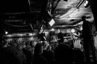 2014-11-25 - Swans från Slakthuset, Stockholm