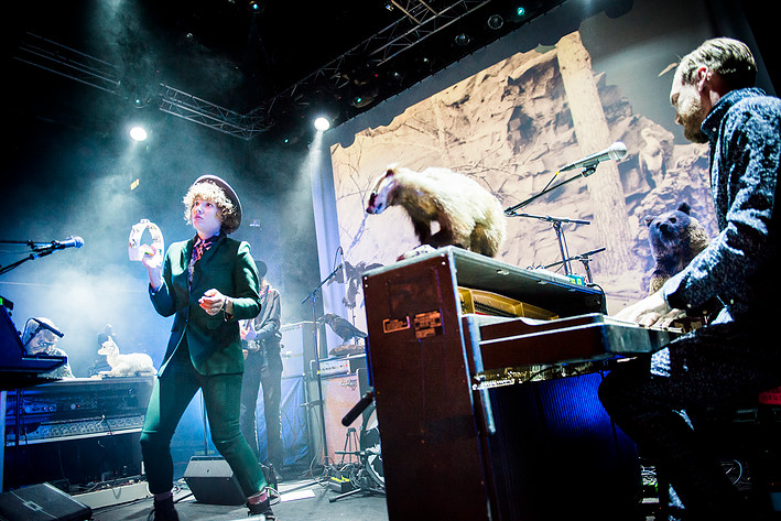 2015-02-13 - Amason från Pustervik, Göteborg