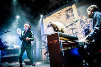 2015-02-13 - Amason från Pustervik, Göteborg