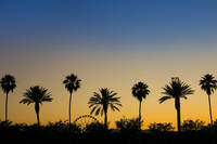 2015-04-17 - Coachella från Suburbia, New York City