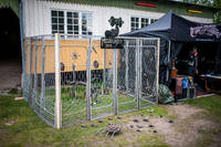 2015-05-28 - Områdesbilder från Muskelrock, Alvesta