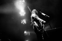 2015-06-02 - D-A-D från Sweden Rock Festival, Sölvesborg