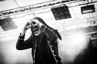 2015-06-06 - Avatar från Sweden Rock Festival, Sölvesborg