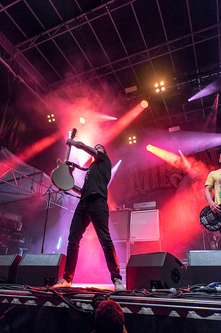 2015-06-12 - Millencolin från Greenfield Festival, Interlaken
