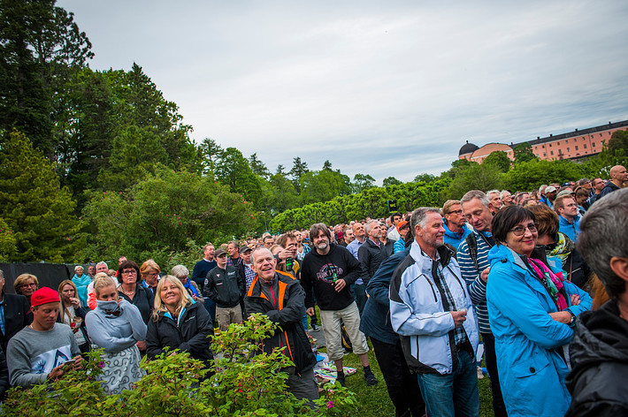 2015-06-13 - Mark Knopfler från Botaniska Trädgården, Uppsala