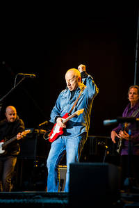 2015-06-13 - Mark Knopfler från Botaniska Trädgården, Uppsala