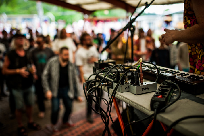 2015-06-13 - Sork från Psykjunta, Alvesta