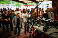 2015-06-13 - Sork från Psykjunta, Alvesta