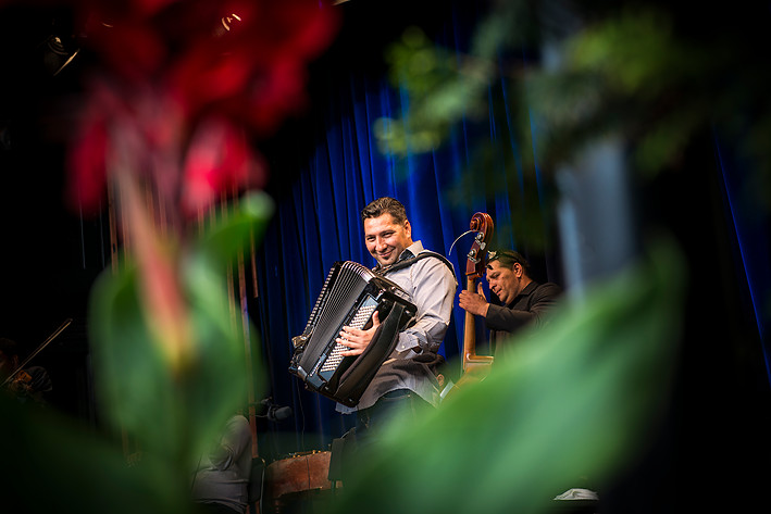 2015-06-23 - Taraf de Haïdouks från Liseberg, Göteborg