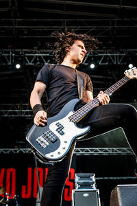 2015-06-25 - Danko Jones från Bråvalla, Norrköping